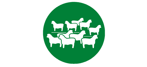 Lamb Leader Sponsor