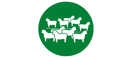 Lamb Leader Lamb Leader Sponsor